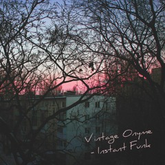 Instant Funk
