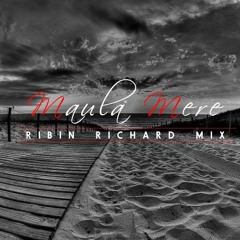 Maula Mere - Ribin Richard Mix