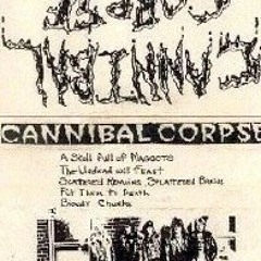 01 - A Skull Full of Maggots