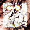 Fungi (prod. Lucid Soundz)