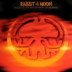 Rabbit In The Moon ( Crisisbeat Remix )