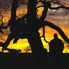 In the mud (prod. NOBE)