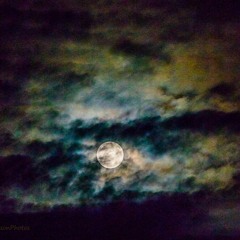 New Day   capo 2 (Steve A rec)