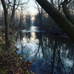 Winter Mix