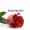 Rose Melody