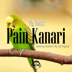 Vlg Rocki - Pain Kanari | Setting Riddim By Dj Digital