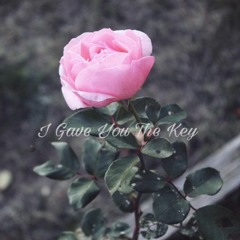 I Gave You The Key (original song)