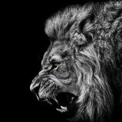 Enigma Norteño - Van A Querer Más [Ft Banda Renova - 128K MP3