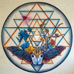 Connection (1 hour set) @ Corvallis Ecstatic & Contact Dance Workshop 12/17/16