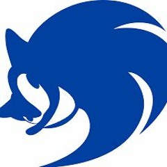 Sonic X - Sonic F - Sonic drive english