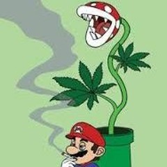 NintenDope