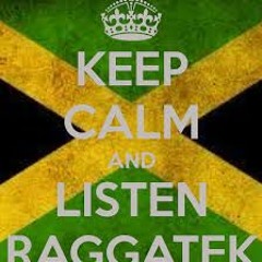 raggatek 4