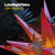 Artwork for LateNightTales Presents Jon Hopkins