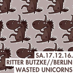 Timo Veranta - Ritter Butzke  / Wasted Unicorns 17.12.16