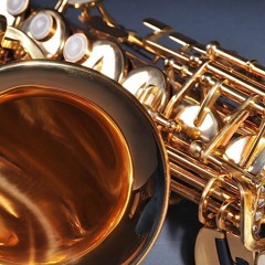 Rattlesnake In The Sun