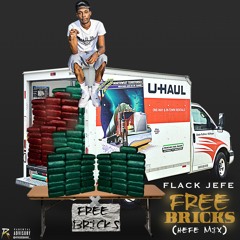 FreeBricks Freestyle (Hefemix)