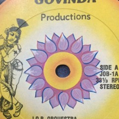 j.o.b. orquestra - govinda (cover)