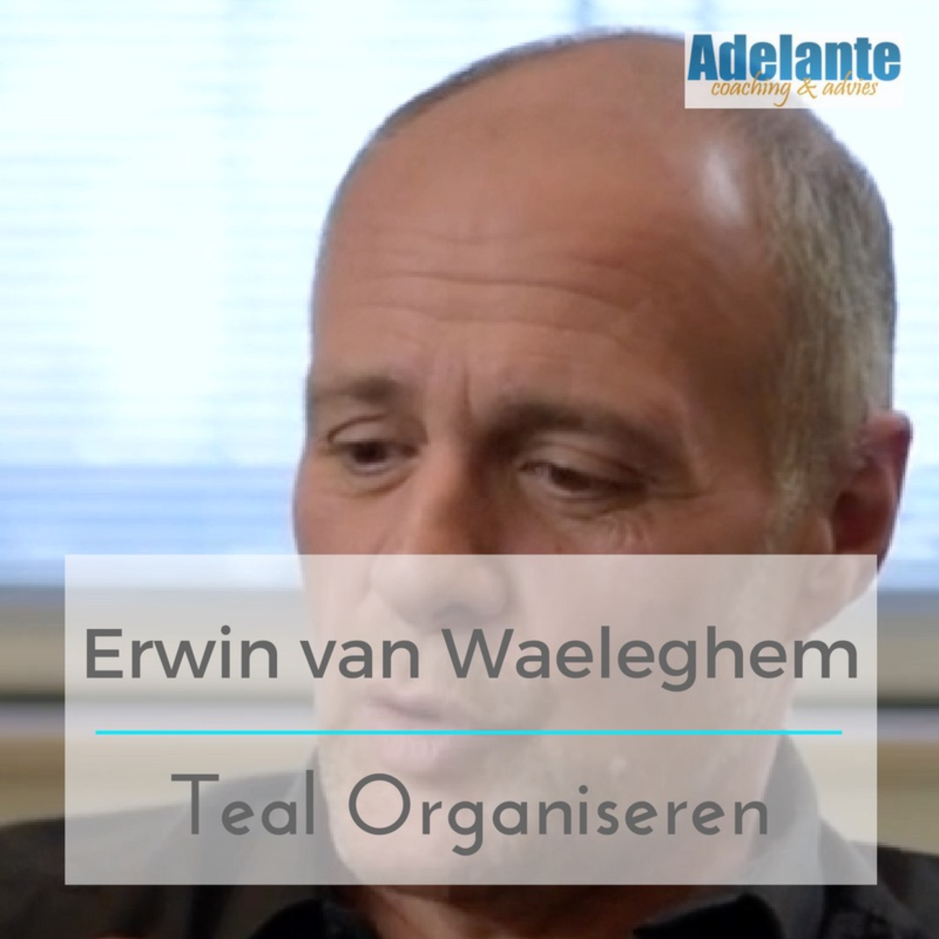 Erwin van Waeleghem over teal organiseren