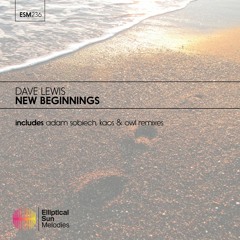 Dave Lewis - New Beginnings ( Kaos & Owl Remix ) OUT NOW