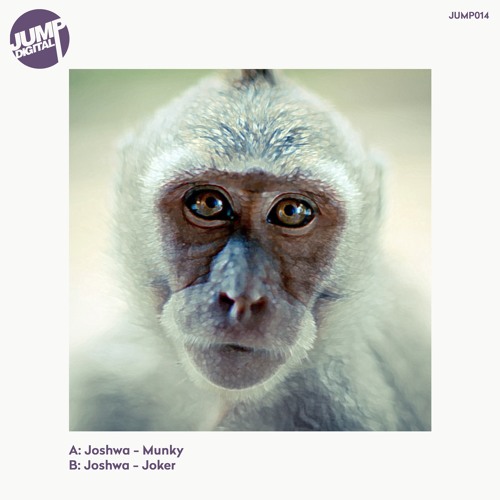 Munky (Original Mix)