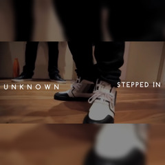 Unknown - Stepped in