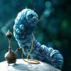 Chill Vibes Set - Soak Soar mix