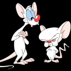 Pinky And The Brainer