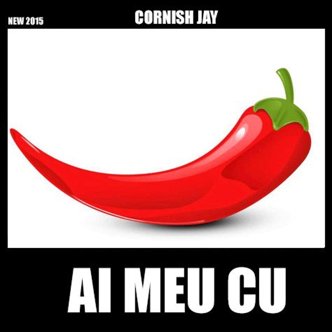 Stream Cornish Jay - Ai meu cú by CORNISH JAY | Listen online for free on  SoundCloud