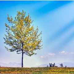 Waiting For You (Featuring Janine Levinson)