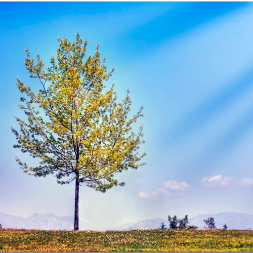 Waiting For You (Featuring Janine Levinson)