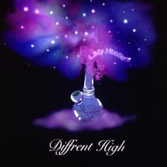 Different High - Lazy Hustlers ft. Wavy Rell, El Picasso & Juisee