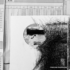 Dissident - Stuck In Texture [cut] [Pinecone Moonshine 12" PCMSV016]