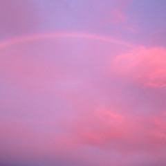 PLASTIC BIRDS - Diamonds