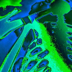 PRAY FOR THE GRAVE Prod. By: GUNE$H