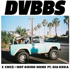DVBBS - Not Going Home (Roze Remix)