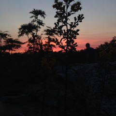 The final sunset