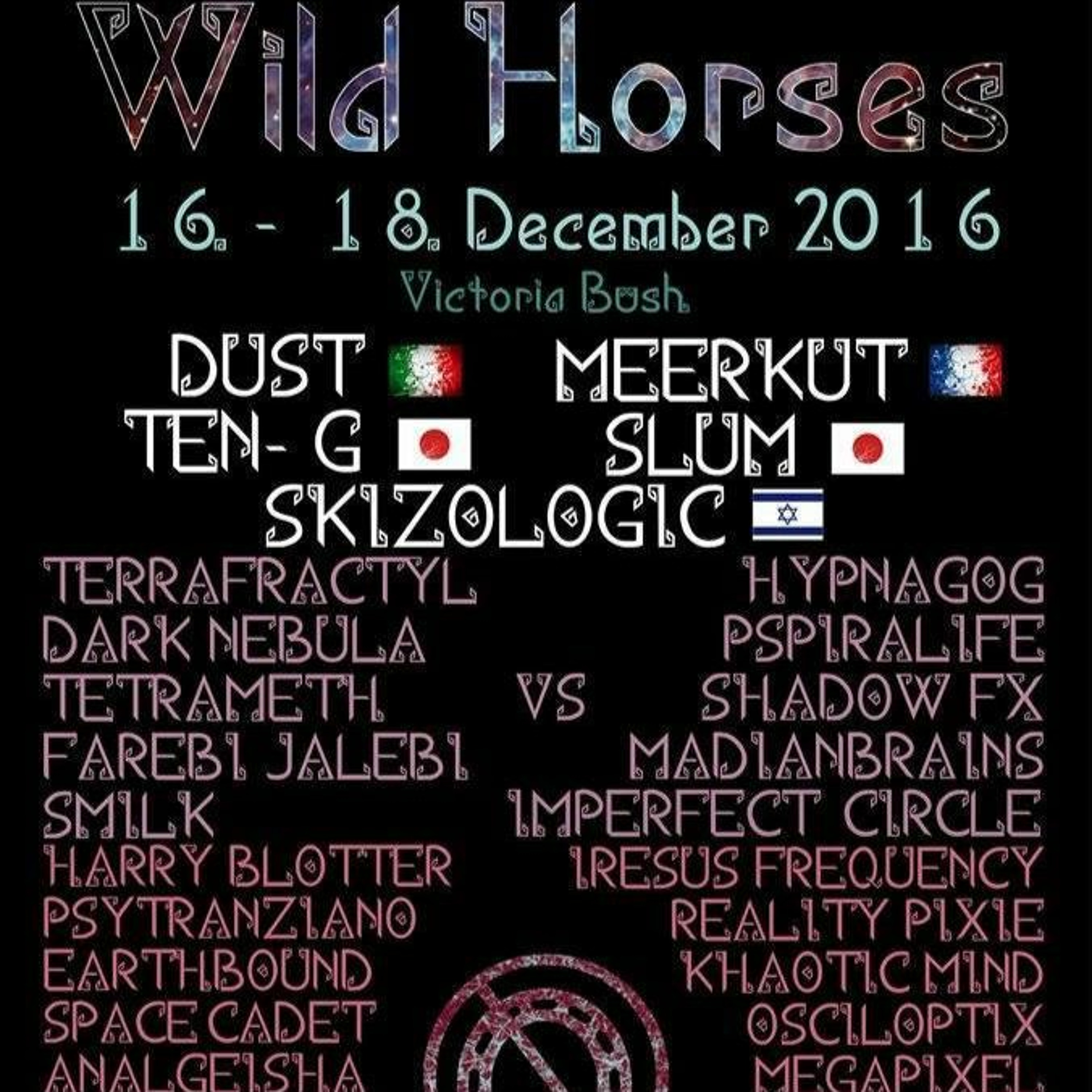 Harry Blotter 2pm Psytrance Set @ Wild Horses [Dec 2016] thumbnail