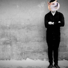 DJ Dogeman Mixtape #11