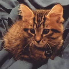 俺はもう死んでいる