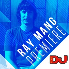 PREMIERE: Martin Brodin 'Funky Gura (Ray Mang remix)'
