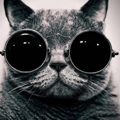 Ace - Swagger