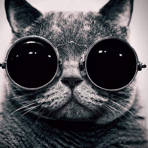 Ace - Swagger