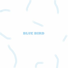 Blue Bird