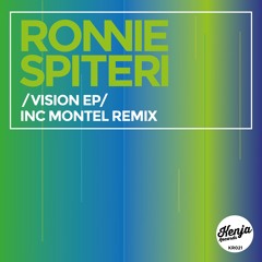 Ronnie Spiteri  - Vision Montel Remix (Preview)