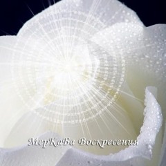 Альмин рассказывает о Новой МерКаБа Воскресения