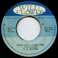 B. B Seaton - Been Such A Long Time [WILD FLOWER] 1975