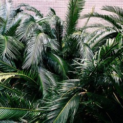 Ineludible Hétéroclite