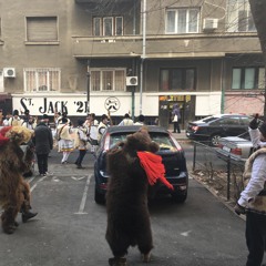 26. Str. Sfintii Apostoli, Jocul Ursului 2016