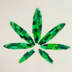 Vermontijuana Ep. 04 - The Cannabis Candidate - ft. Senator David Zuckerman