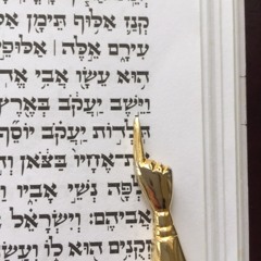 Vayeishev Genesis 37:12-28